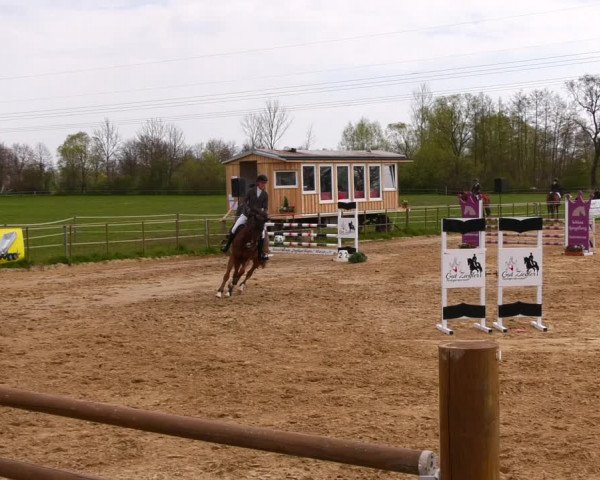 Reitturnier Wutzetz 2022
