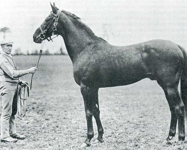 stallion Golden Beaker xx (Thoroughbred, 1965, from Arctic Storm xx)