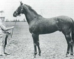 stallion Golden Beaker xx (Thoroughbred, 1965, from Arctic Storm xx)