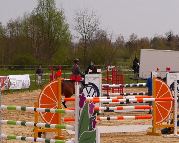 Reitturnier Wutzetz 2022