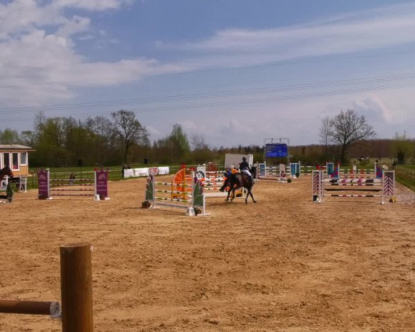 Reitturnier Wutzetz 2022