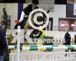 jumper Otello 38 (German Riding Pony, 2001, from Okay Big Bambu)