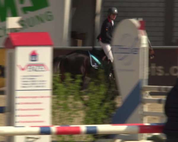 Pony- und Juniorenturnier Olfen-Vinnum 2022