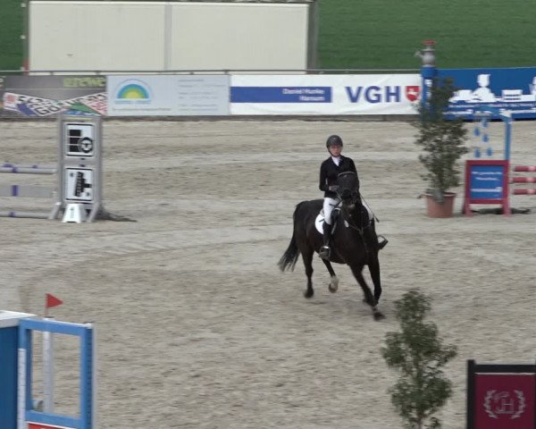 Reitturnier Harsum-Hüddessum 2022