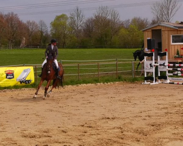 Reitturnier Wutzetz 2022