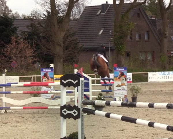 Reitturnier Kropp 2022