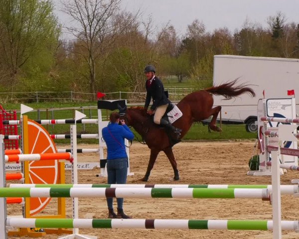 Reitturnier Wutzetz 2022