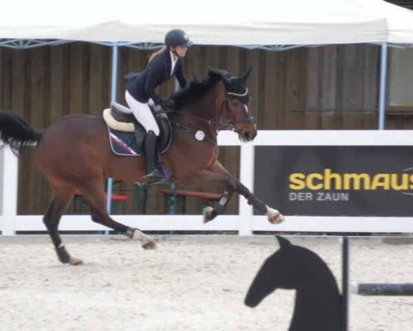 Springturnier Memmingen 2022
