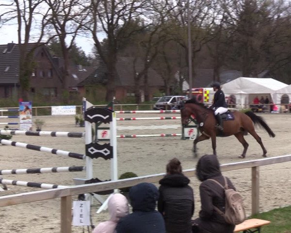 Reitturnier Kropp 2022