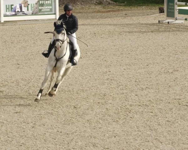 Springturnier Memmingen 2022