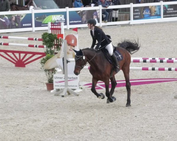 Springturnier Memmingen 2022