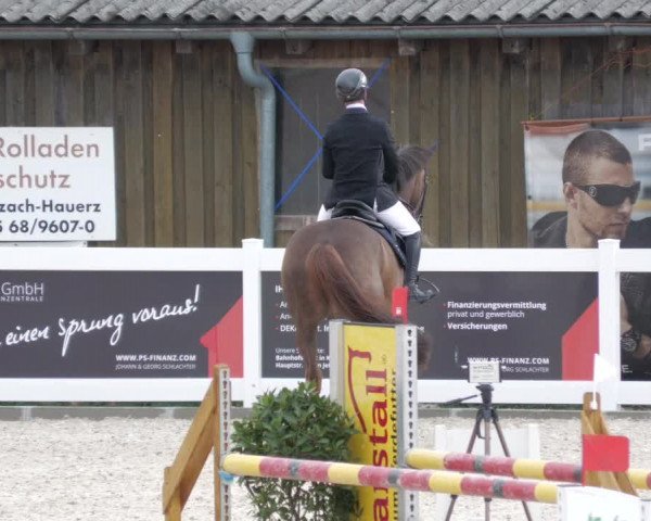 Springturnier Memmingen 2022