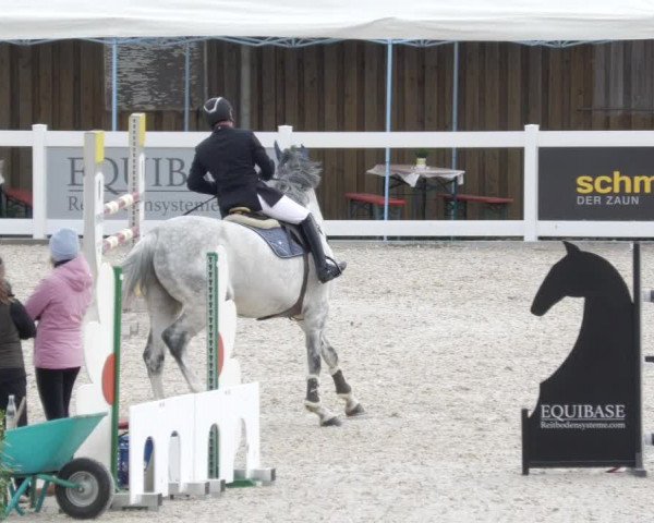 Springturnier Memmingen 2022