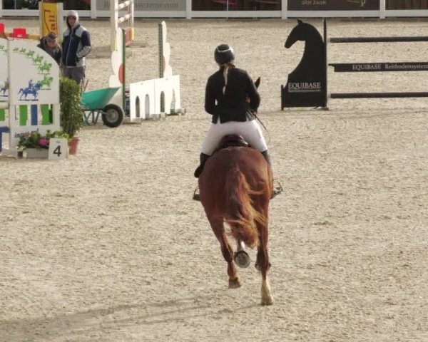 Springturnier Memmingen 2022