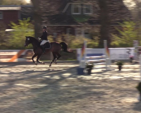 Reitturnier Kropp 2022