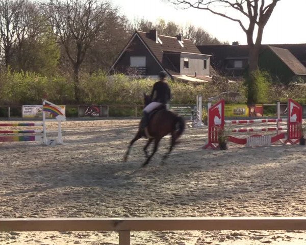 Reitturnier Kropp 2022