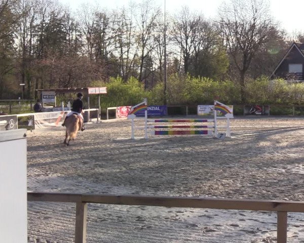 Reitturnier Kropp 2022