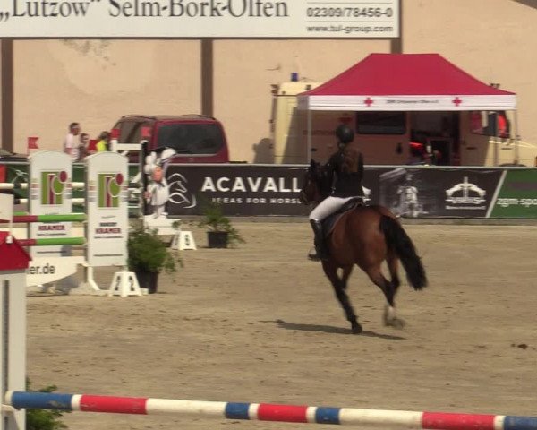 Pony- und Juniorenturnier Olfen-Vinnum 2022