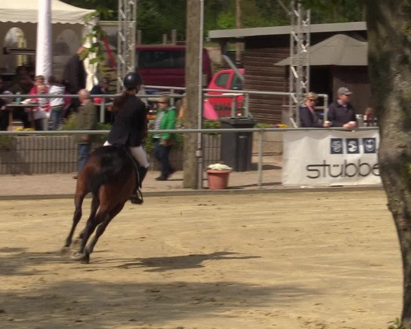 Pony- und Juniorenturnier Olfen-Vinnum 2022