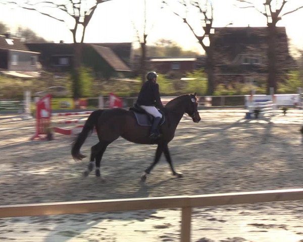 Reitturnier Kropp 2022