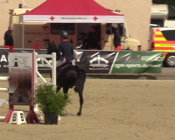 Pony- und Juniorenturnier Olfen-Vinnum 2022