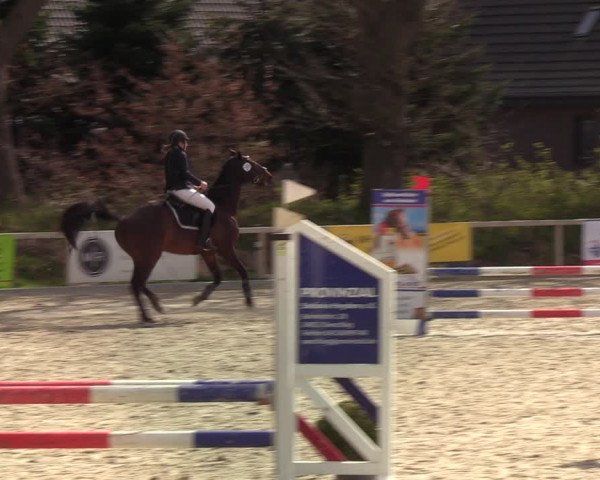 Reitturnier Kropp 2022