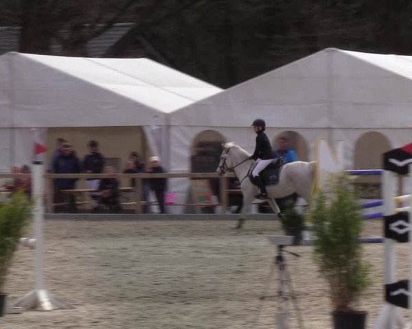 Reitturnier Kropp 2022