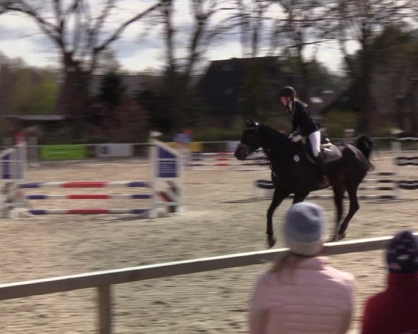 Reitturnier Kropp 2022