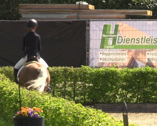 Pony- und Juniorenturnier Olfen-Vinnum 2022