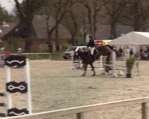 Reitturnier Kropp 2022