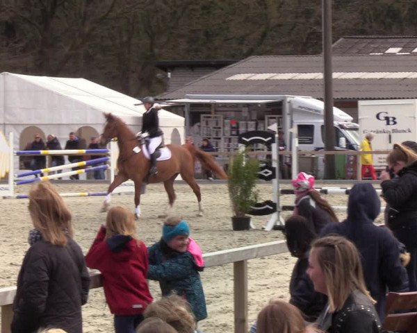 Reitturnier Kropp 2022