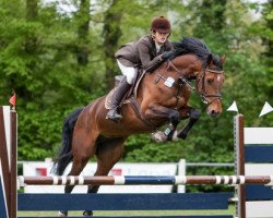 broodmare Chakira (KWPN (Royal Dutch Sporthorse), 2007, from Crawford)