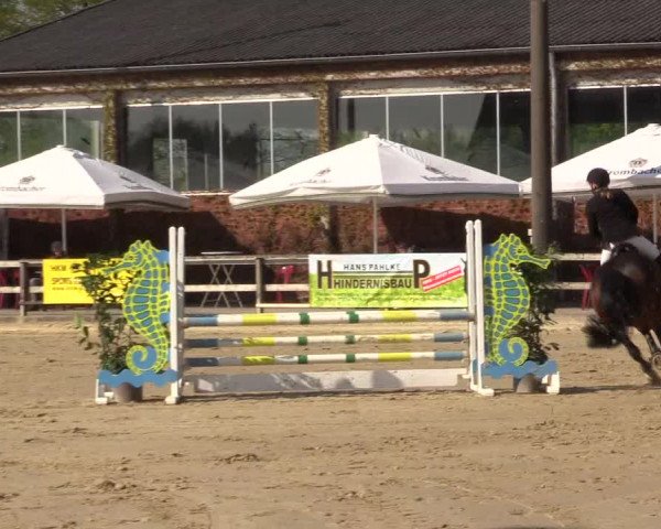 Reitturnier Nienberge 2022