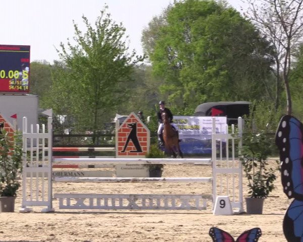 Reitturnier Nienberge 2022