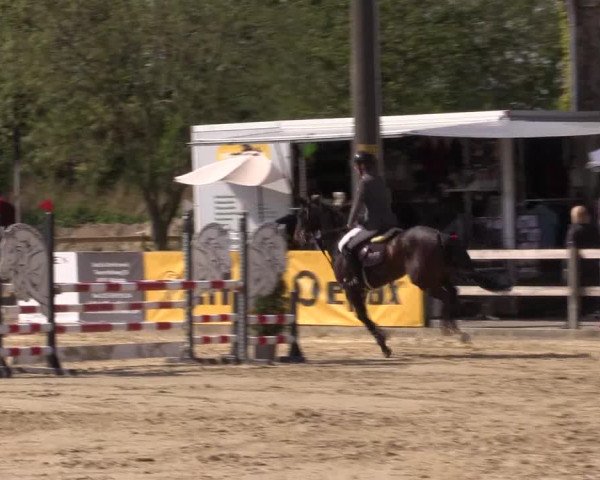 Reitturnier Nienberge 2022