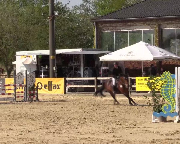 Reitturnier Nienberge 2022