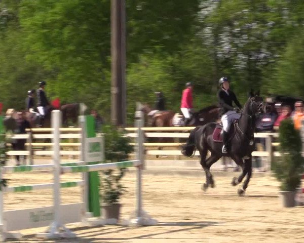 Reitturnier Nienberge 2022