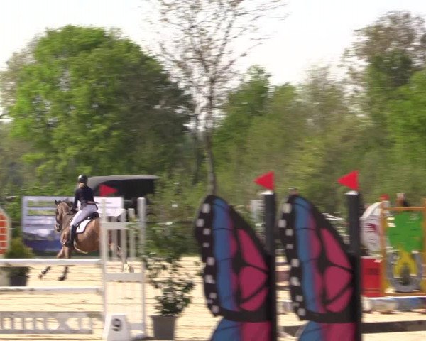 Reitturnier Nienberge 2022