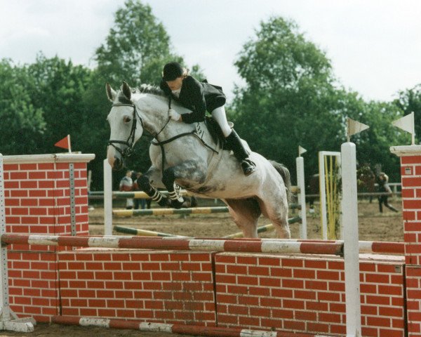 broodmare Indianagirl (Oldenburg, 1980, from Inschallah AA) broodmare Indianagirl (Oldenburg, 1980, from Inschallah AA)