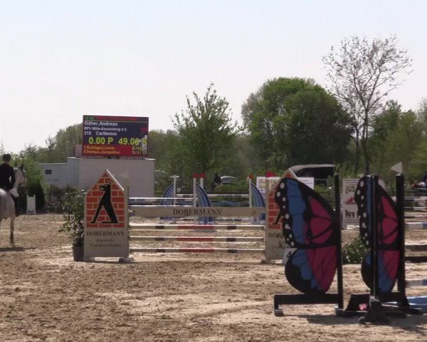 Reitturnier Nienberge 2022