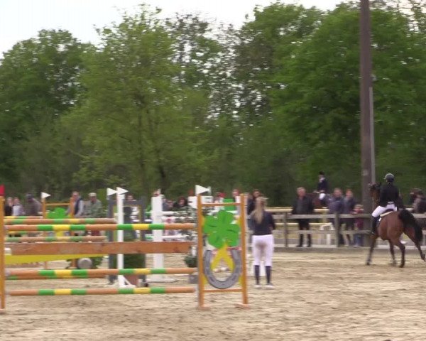 Reitturnier Nienberge 2022