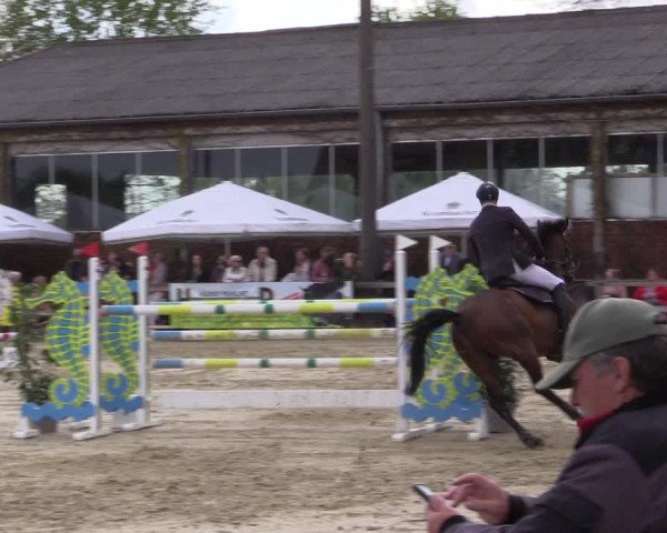 Reitturnier Nienberge 2022