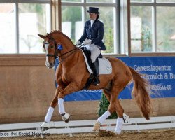 dressage horse Fabiano M (Hanoverian, 2002, from Fürst Heinrich)