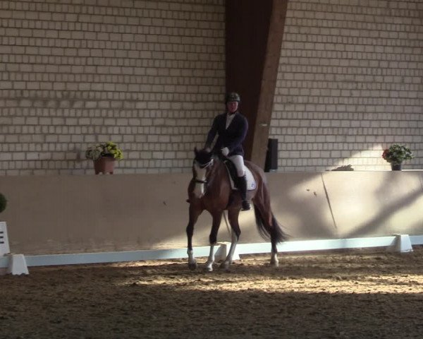 Reitturnier Kamen 2022