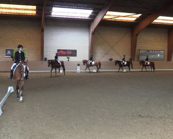 Reitturnier Kamen 2022