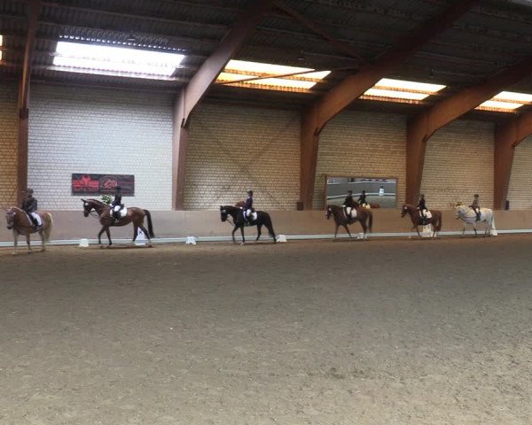 Reitturnier Kamen 2022