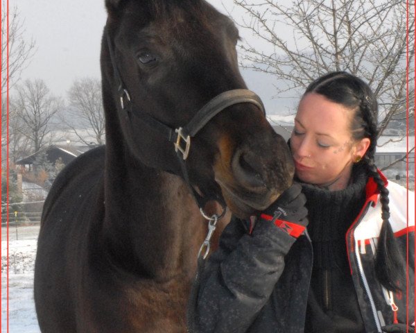 horse Lambada (Bavarian, 2008, from Cantando)