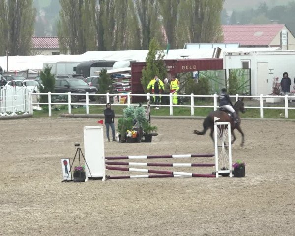 Reitturnier Ried am Riederberg 2022