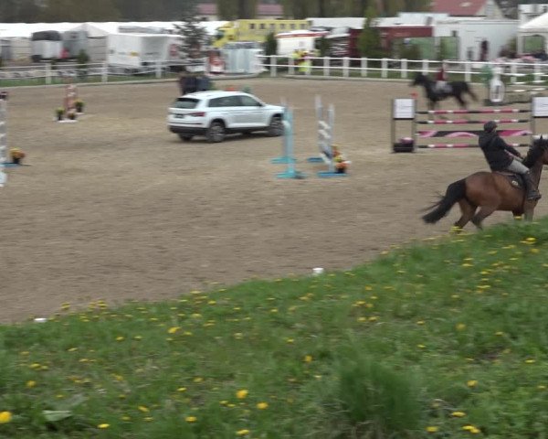 Reitturnier Ried am Riederberg 2022