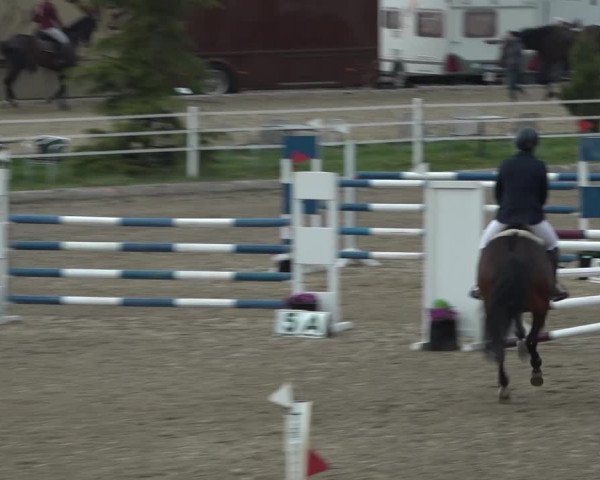 Reitturnier Ried am Riederberg 2022
